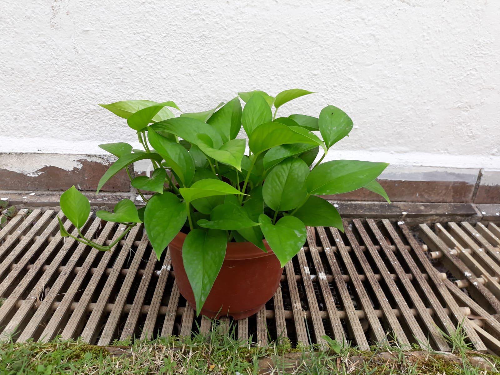 Rioja Spain Wine Tour - HD Wallpaper 