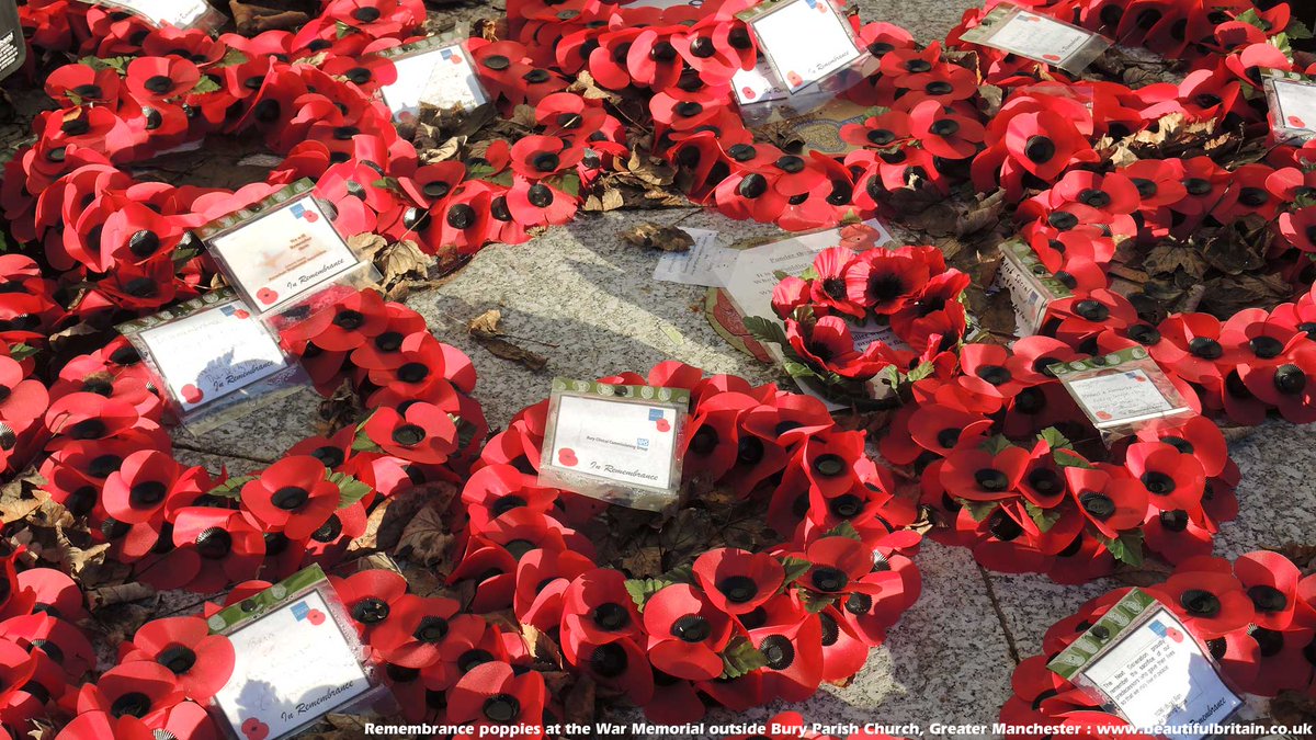 Wreath - HD Wallpaper 