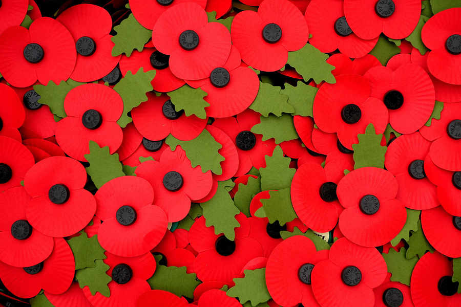 Remembrance Day Poppies - HD Wallpaper 