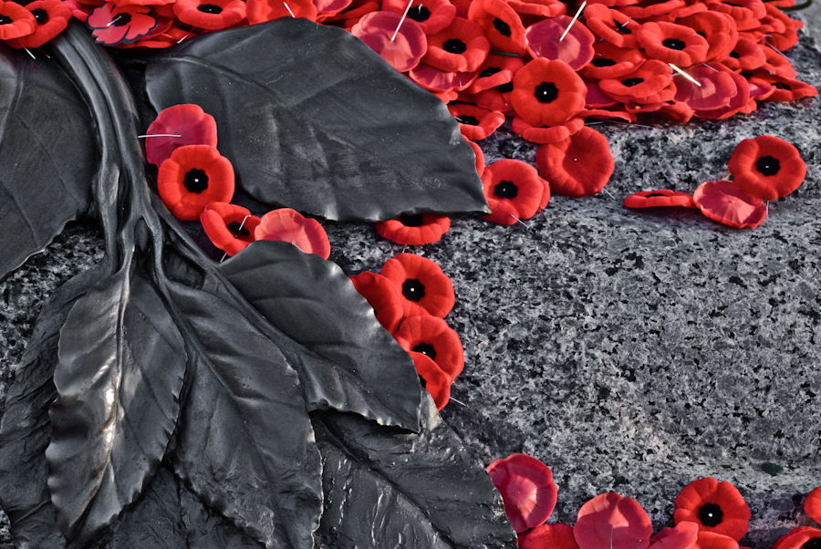 Iphone Wallpaper Remembrance Day - HD Wallpaper 