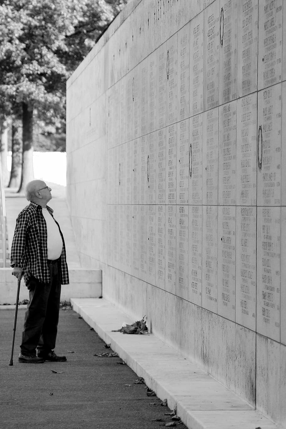 Remembrance Day, Old, Man, Grief, Lonely, Old Man, - HD Wallpaper 