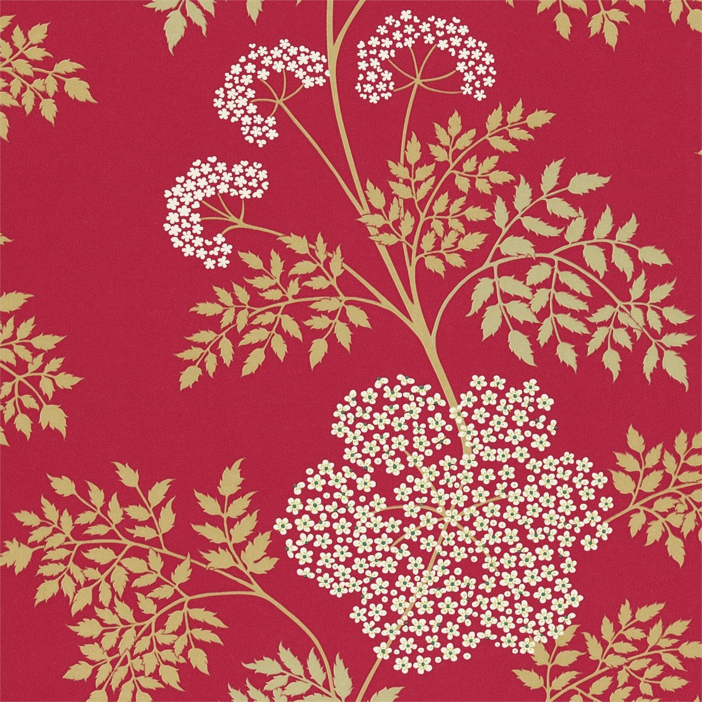 Sanderson Cow Parsley - HD Wallpaper 