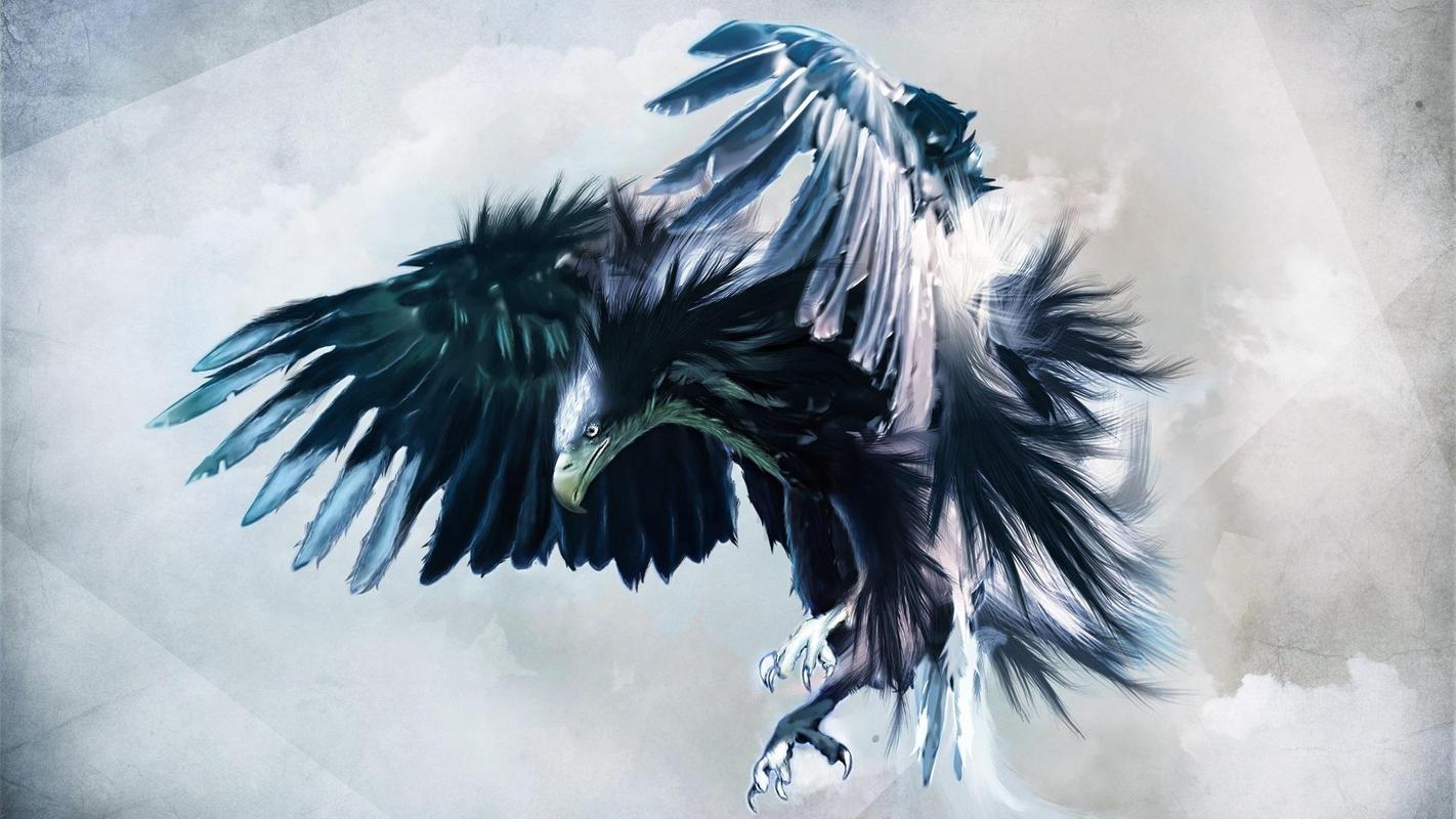 Philadelphia Eagles Backgrounds - HD Wallpaper 