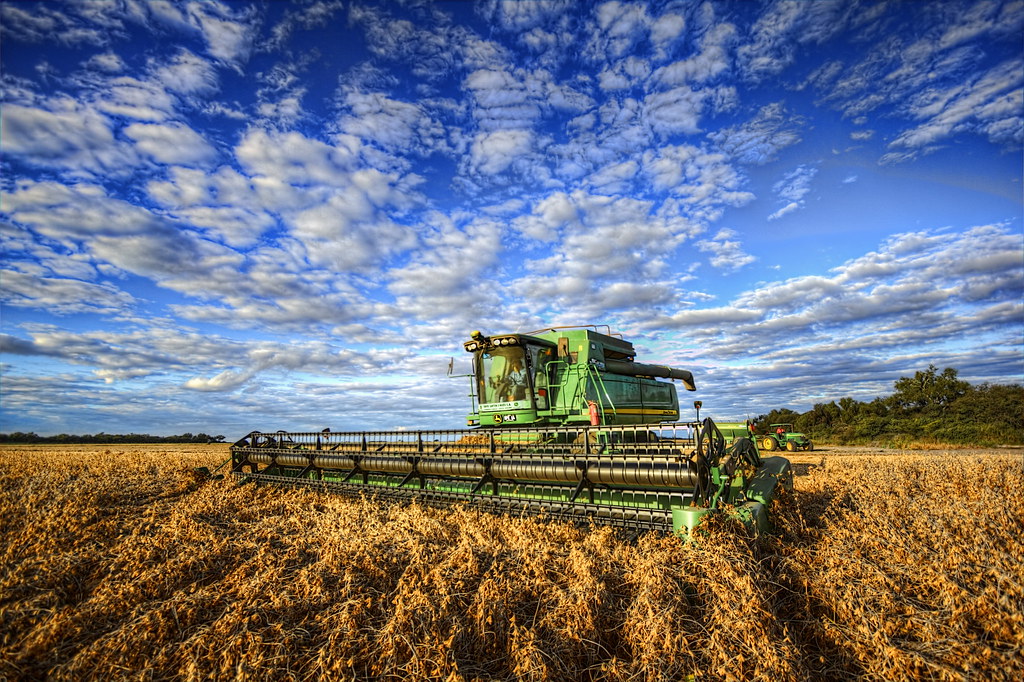 Field - HD Wallpaper 