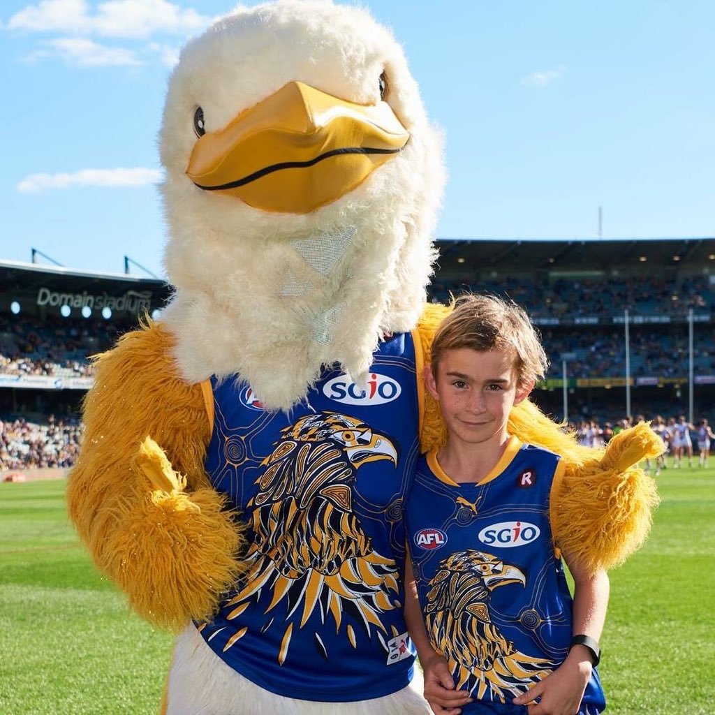 West Coast Eagles Mascot - HD Wallpaper 