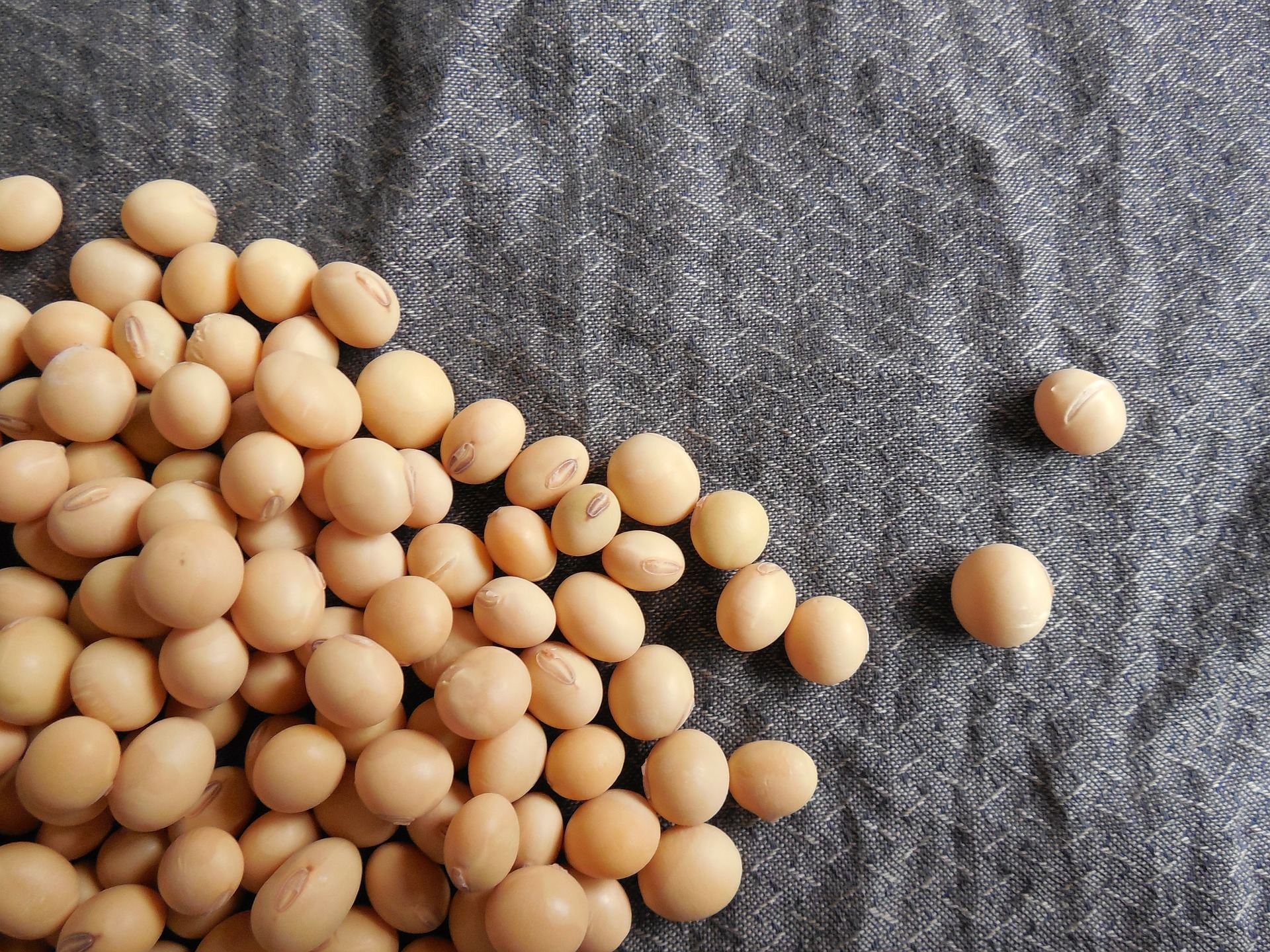 Soy Lecithin - HD Wallpaper 