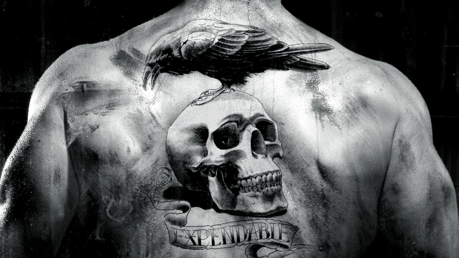 1920x1080, 121 Latest & Unique Skull Tattoos Designs - Expendables Back Tattoo - HD Wallpaper 