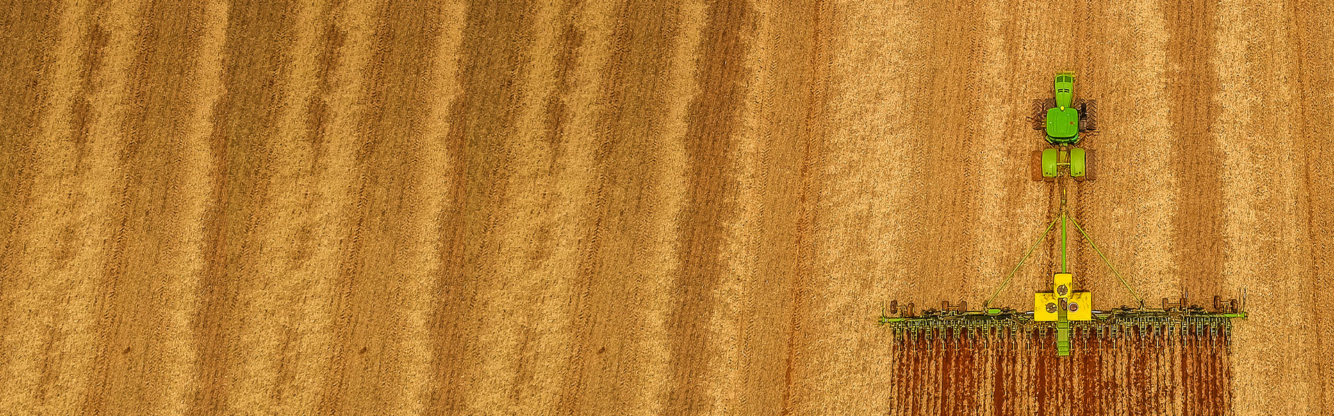 Plywood - HD Wallpaper 