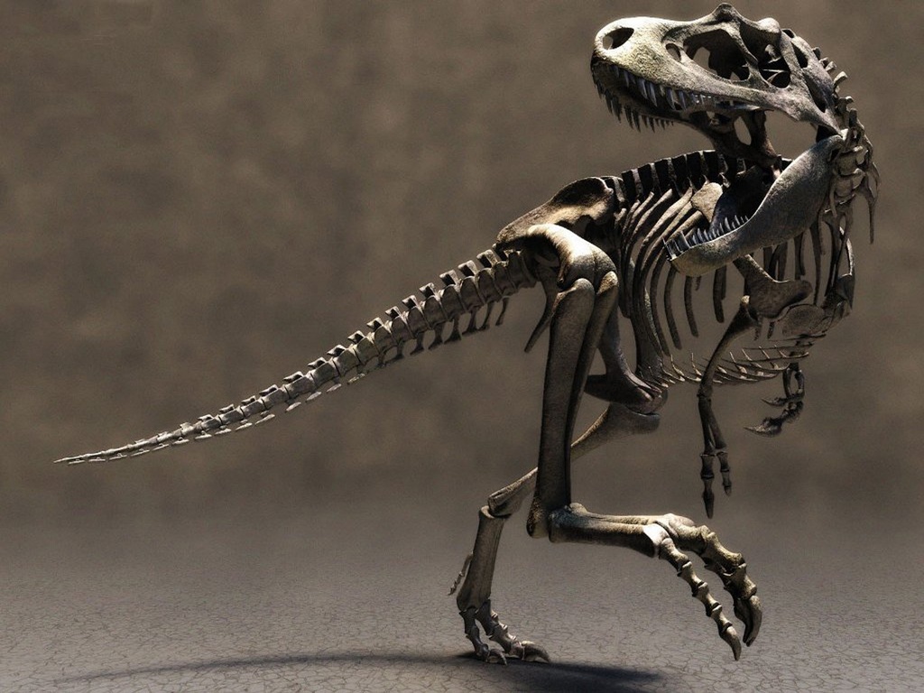 Dinosaur Skull Tattoo Photo - T Rex Skeleton Roaring - HD Wallpaper 