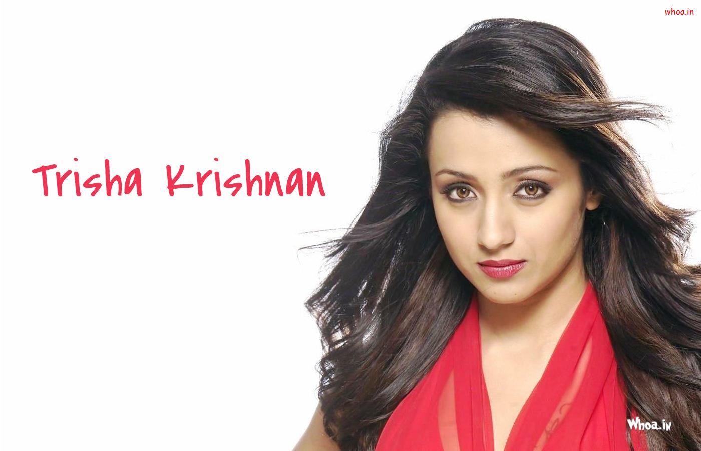 Trisha Krishnan Beautiful Close Up Wallpaper - Trisha Krishnan South Actress - HD Wallpaper 