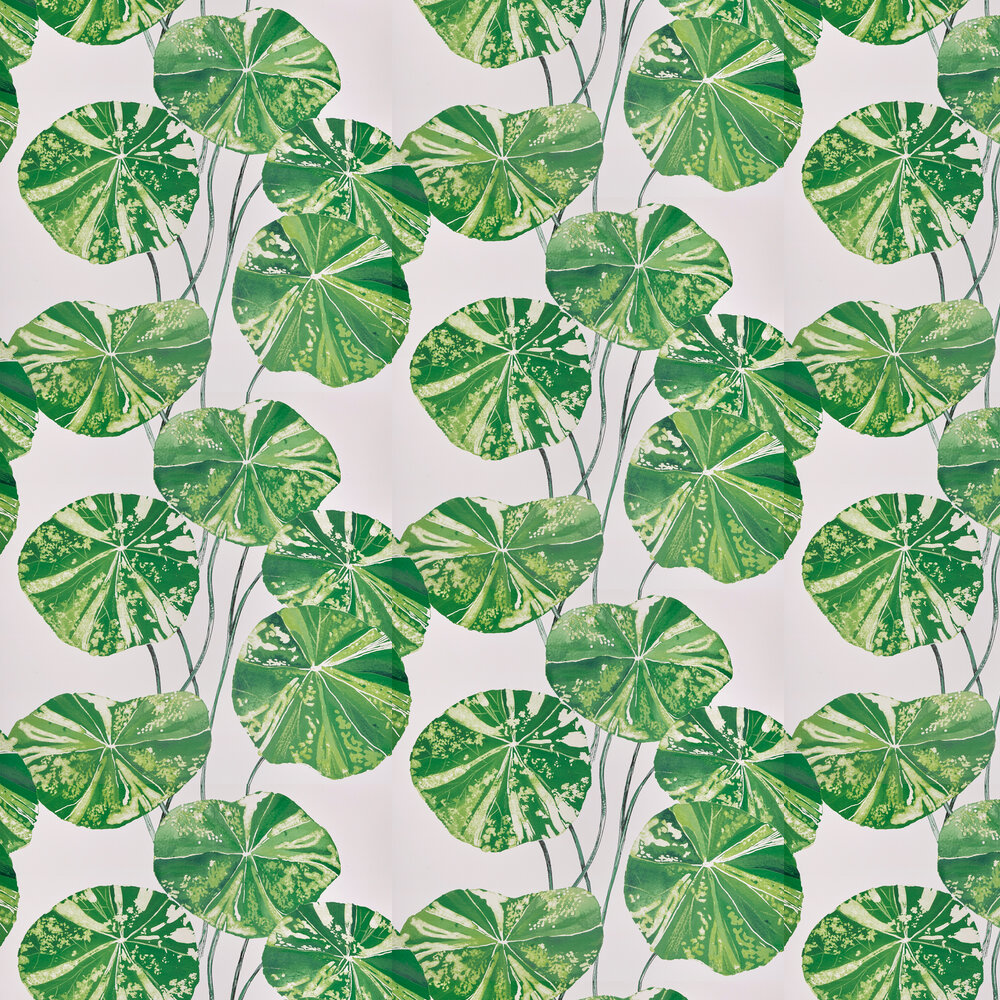 Designers Guild Pdg1061 05 - HD Wallpaper 