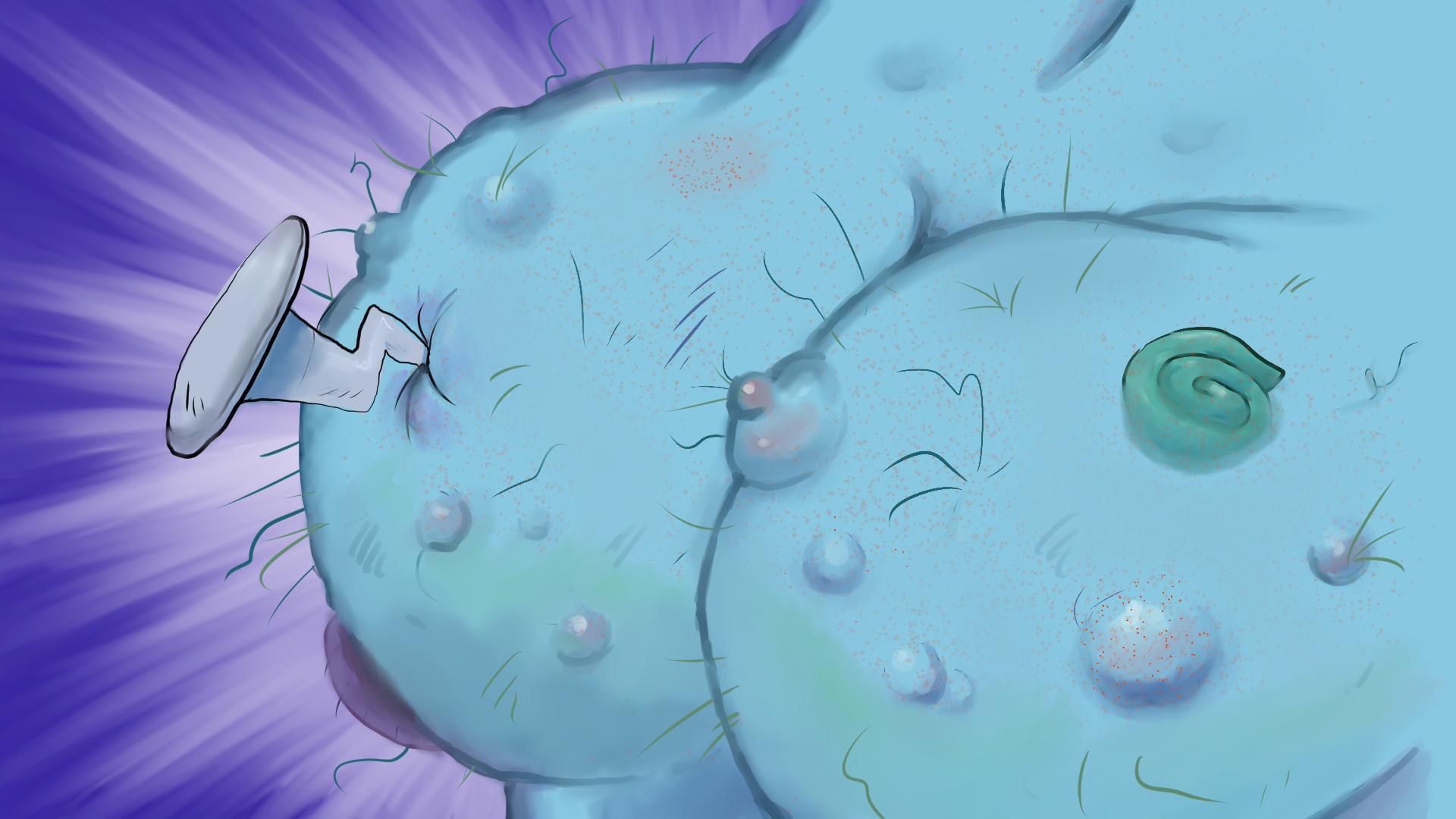 Freshwater Whipray - HD Wallpaper 