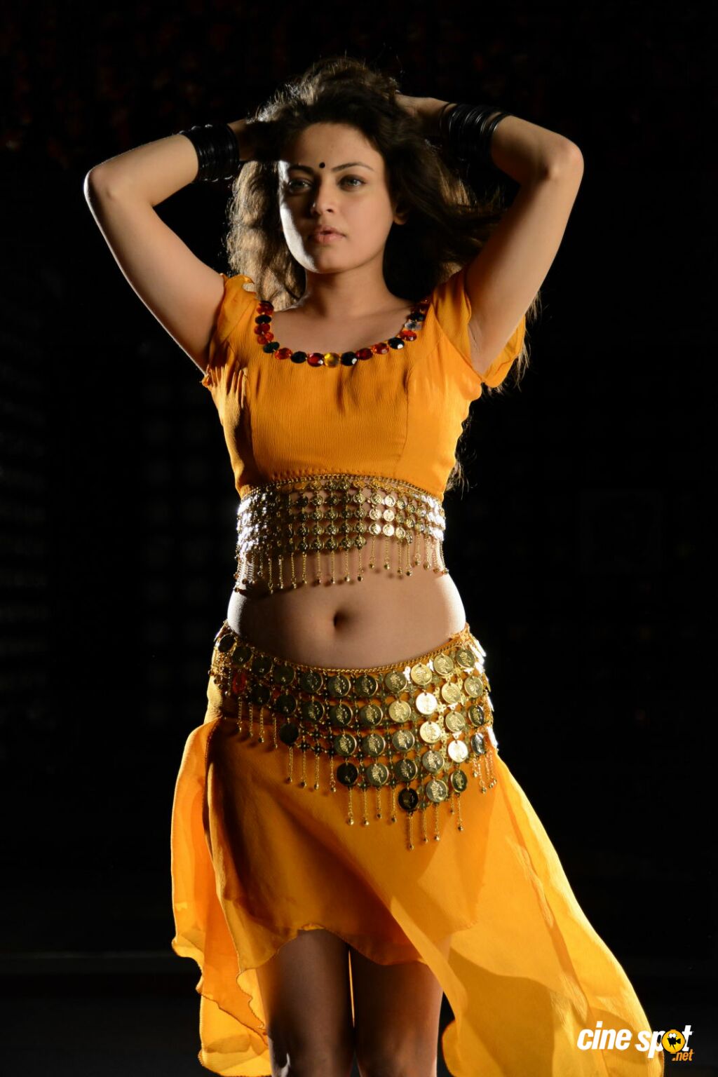 Sneha Ullal Sexy Navel - HD Wallpaper 