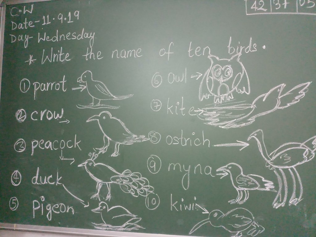 Birds Name With Picture By Sneha Sharma - Blackboard - HD Wallpaper 