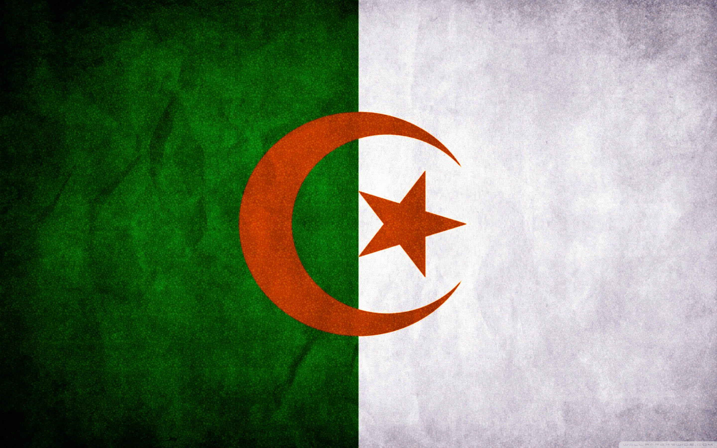 Flag Of Algeria - HD Wallpaper 