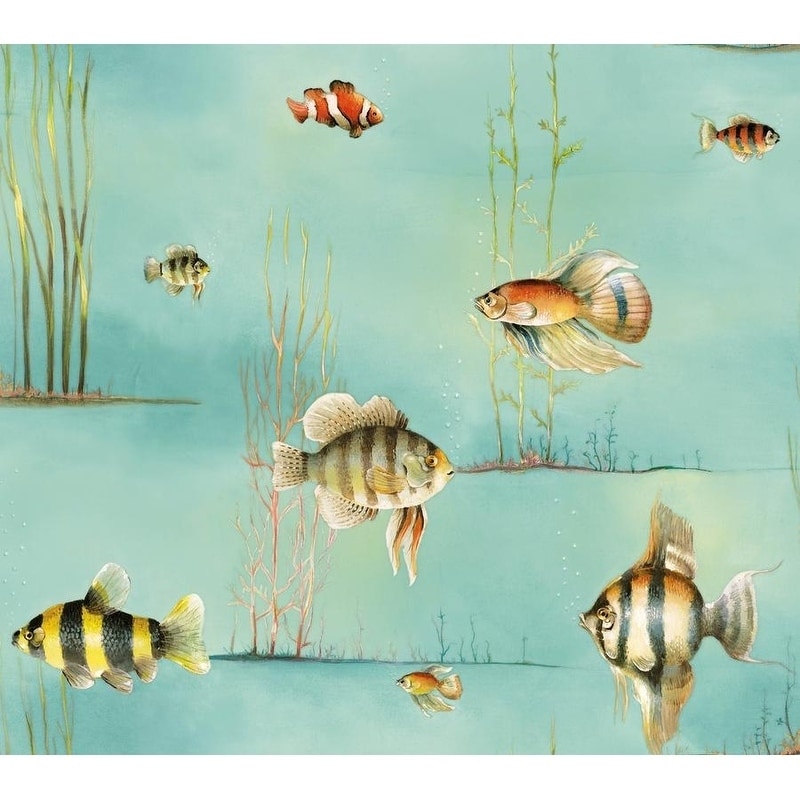 Marine Biology - HD Wallpaper 