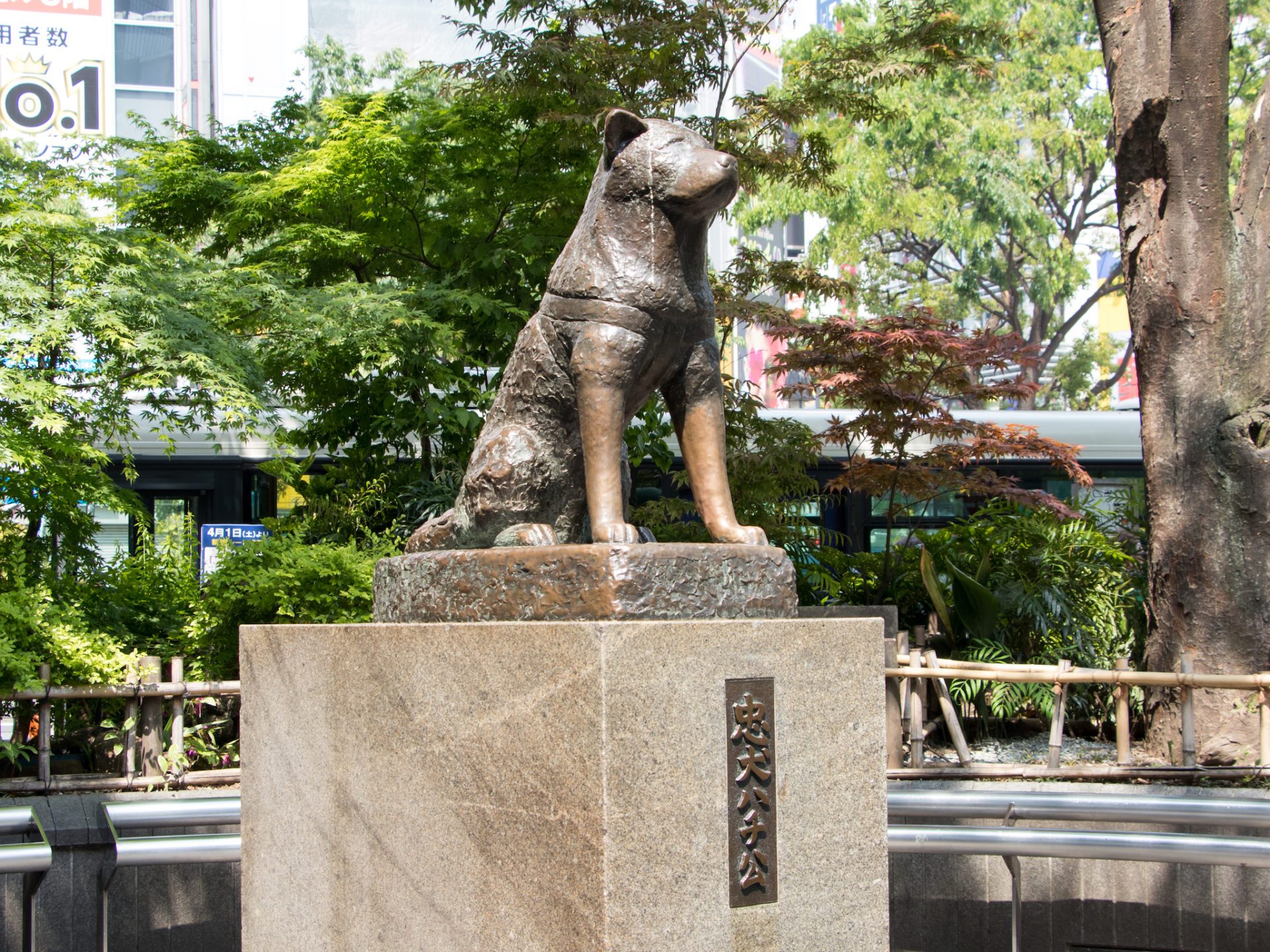 Bronze Statue Of Japanese Dog Hachiko Sitting On Marble - Hachiko Statue - HD Wallpaper 