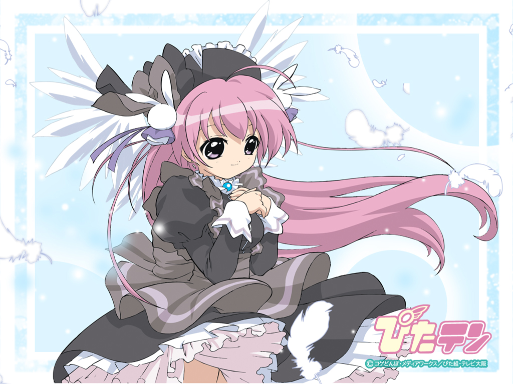 Misha Pita Ten Wallpaper - Misha Chan Pita Ten - HD Wallpaper 