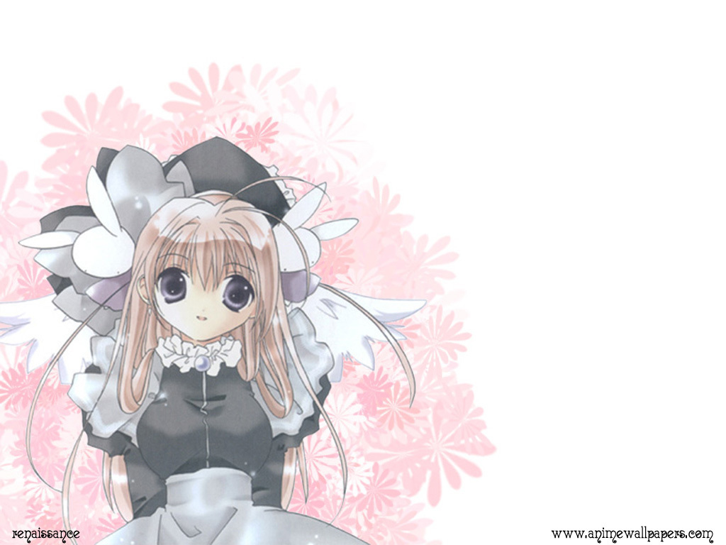 Pita Ten ぴた テン ポスト カード 画集 1024x768 Wallpaper Teahub Io