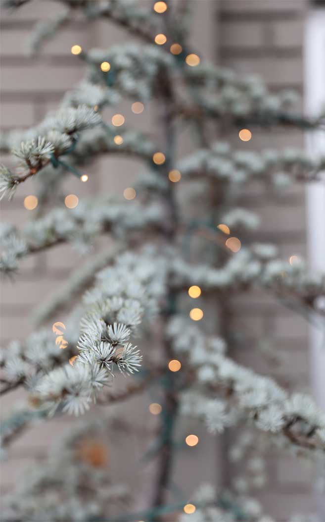 Christmas Tree Lights Iphone - HD Wallpaper 