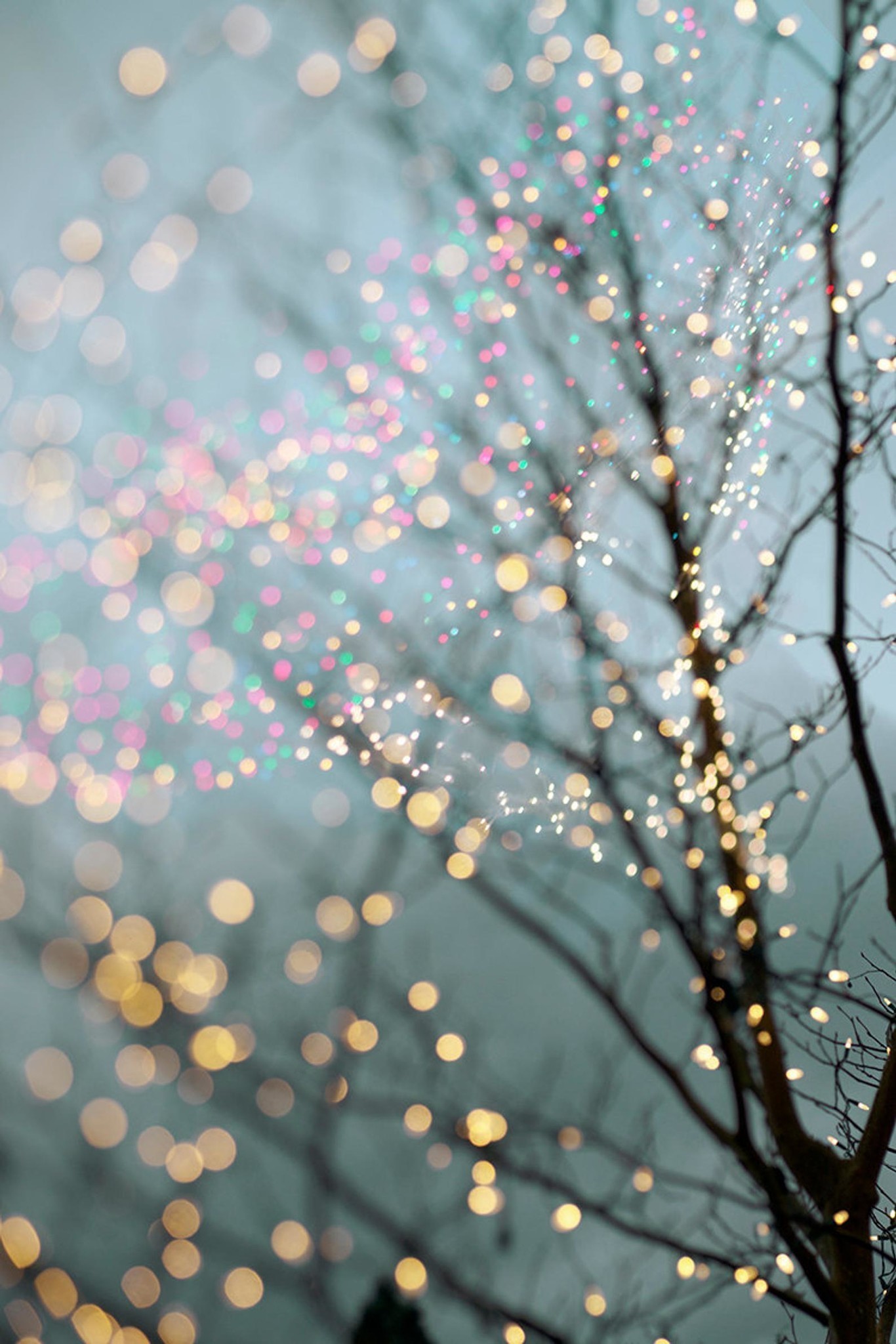 Holiday Fairy Lights In Tree In Winter - Christmas Fairy Lights Background - HD Wallpaper 