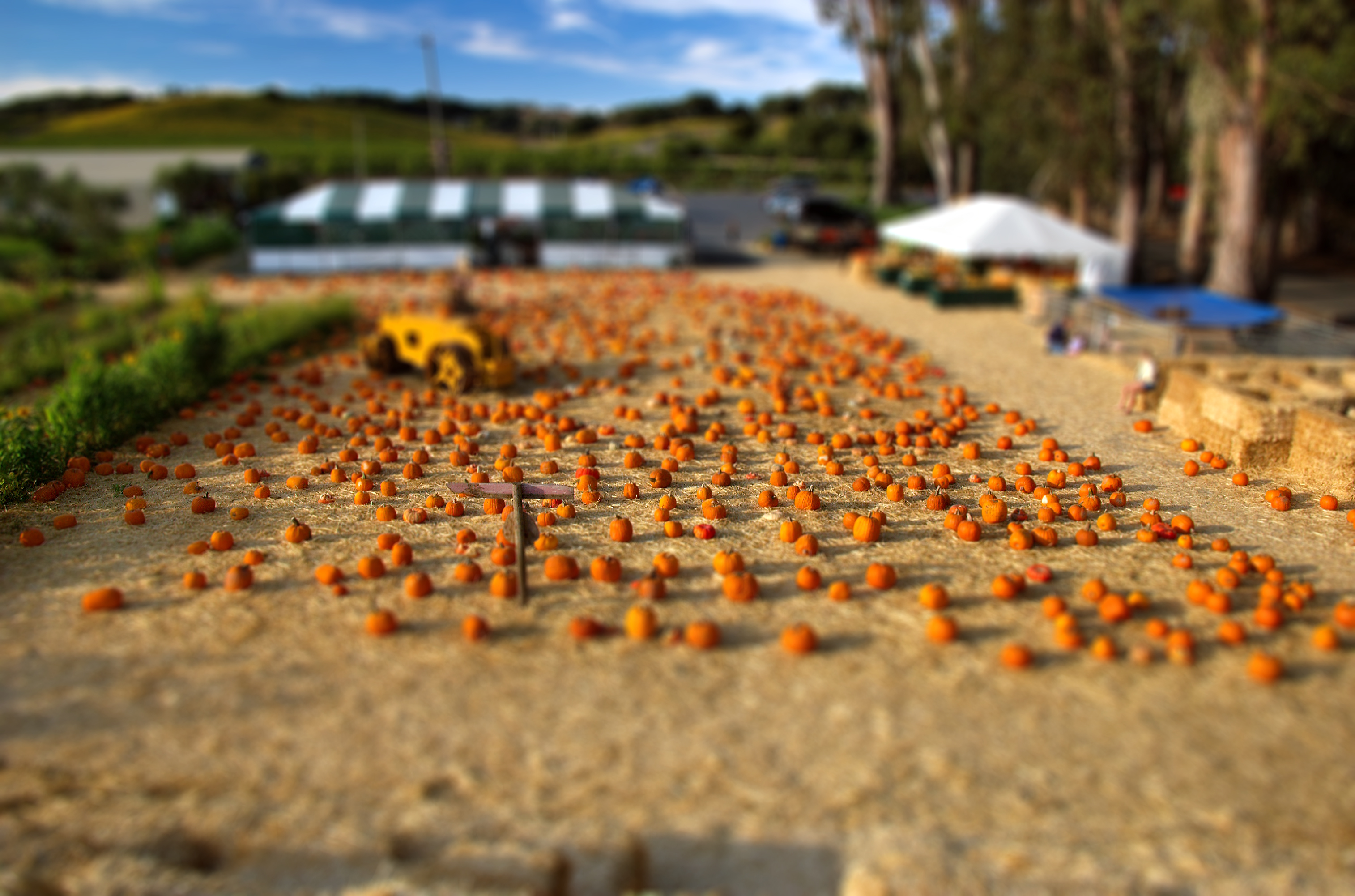 4k Pictures Tilt Shift - HD Wallpaper 