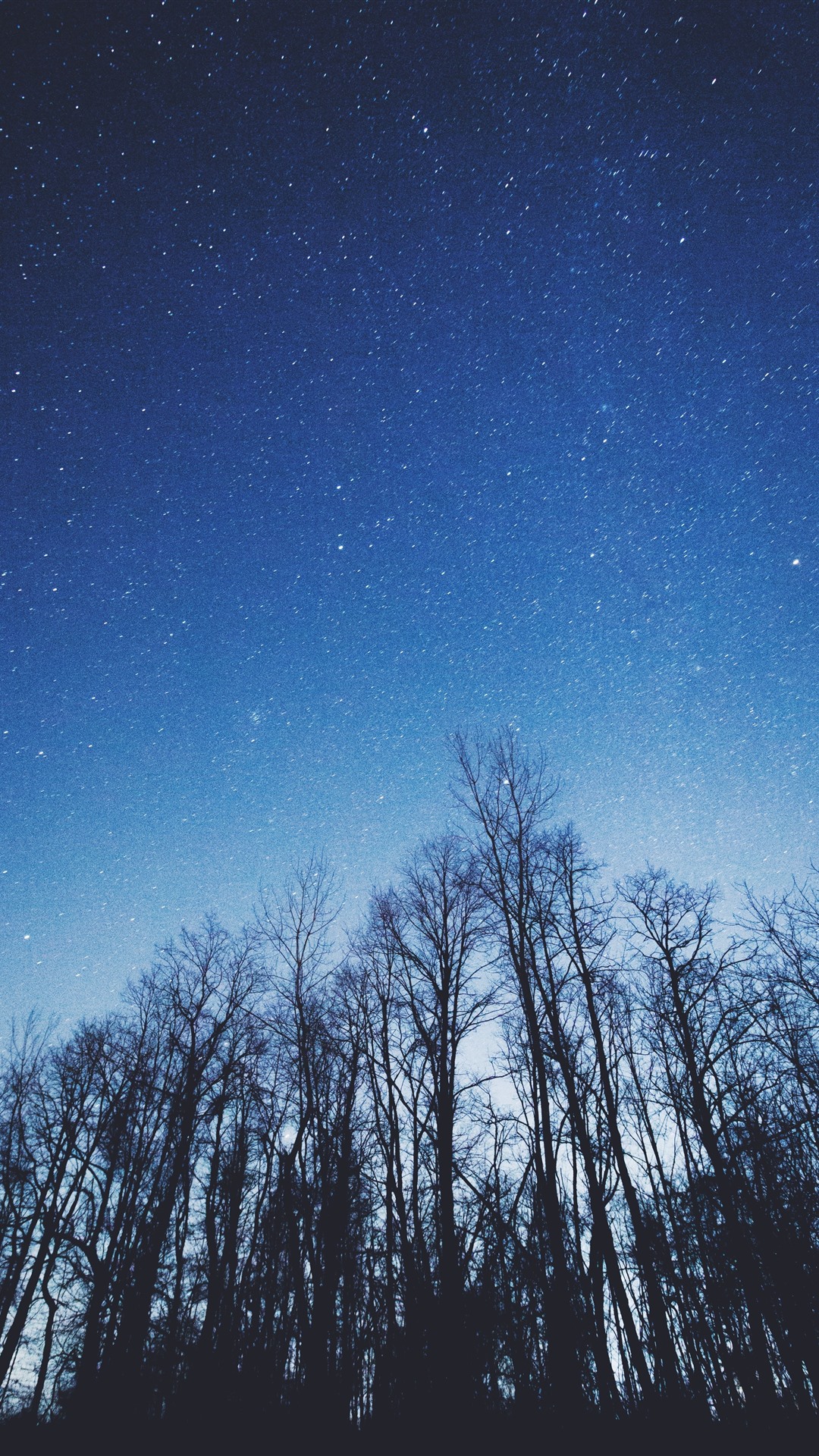 Sky Wallpaper Night View - HD Wallpaper 