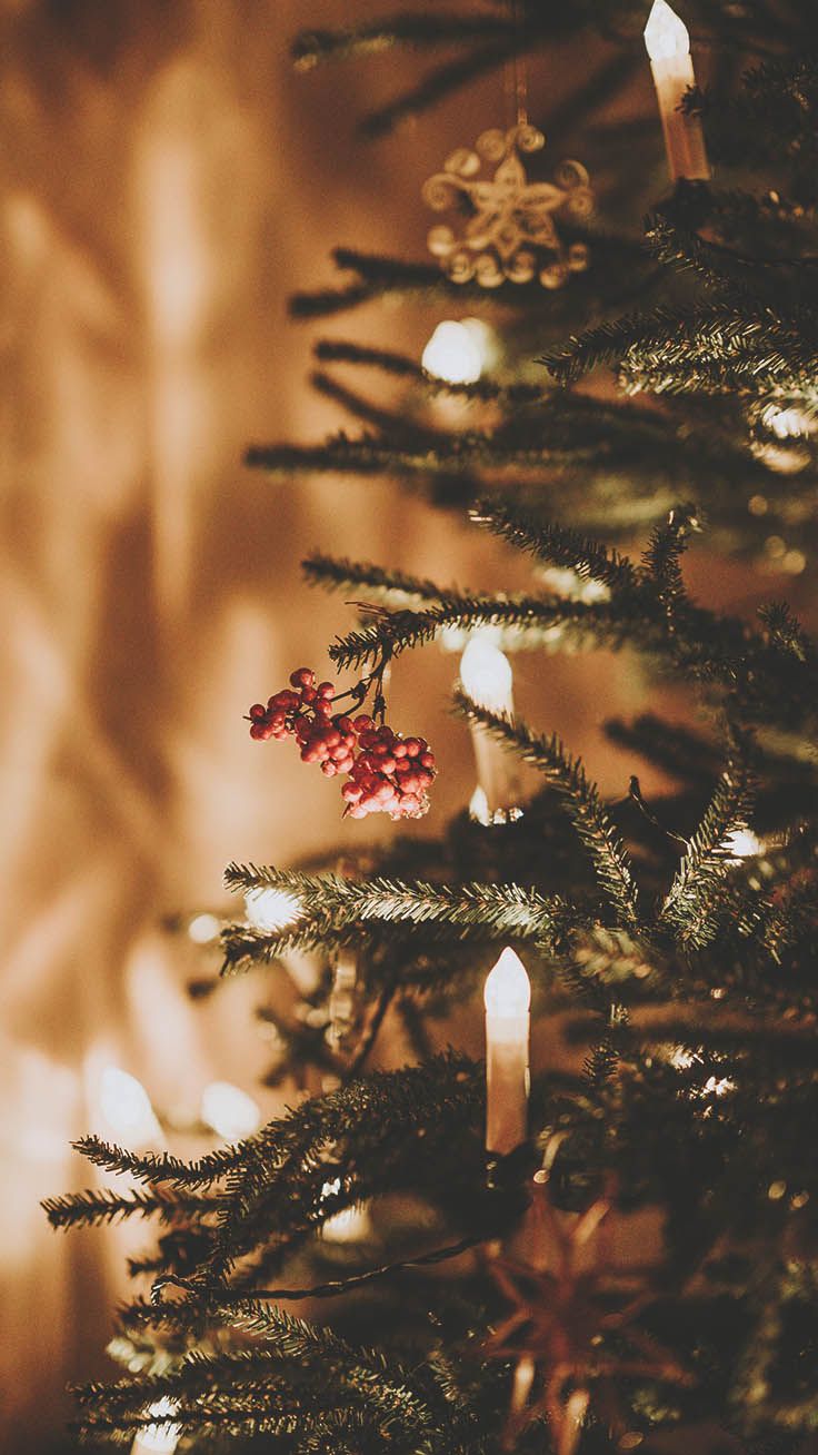 Christmas Devotional Lds Quotes 2019 736x1308 Wallpaper teahub.io