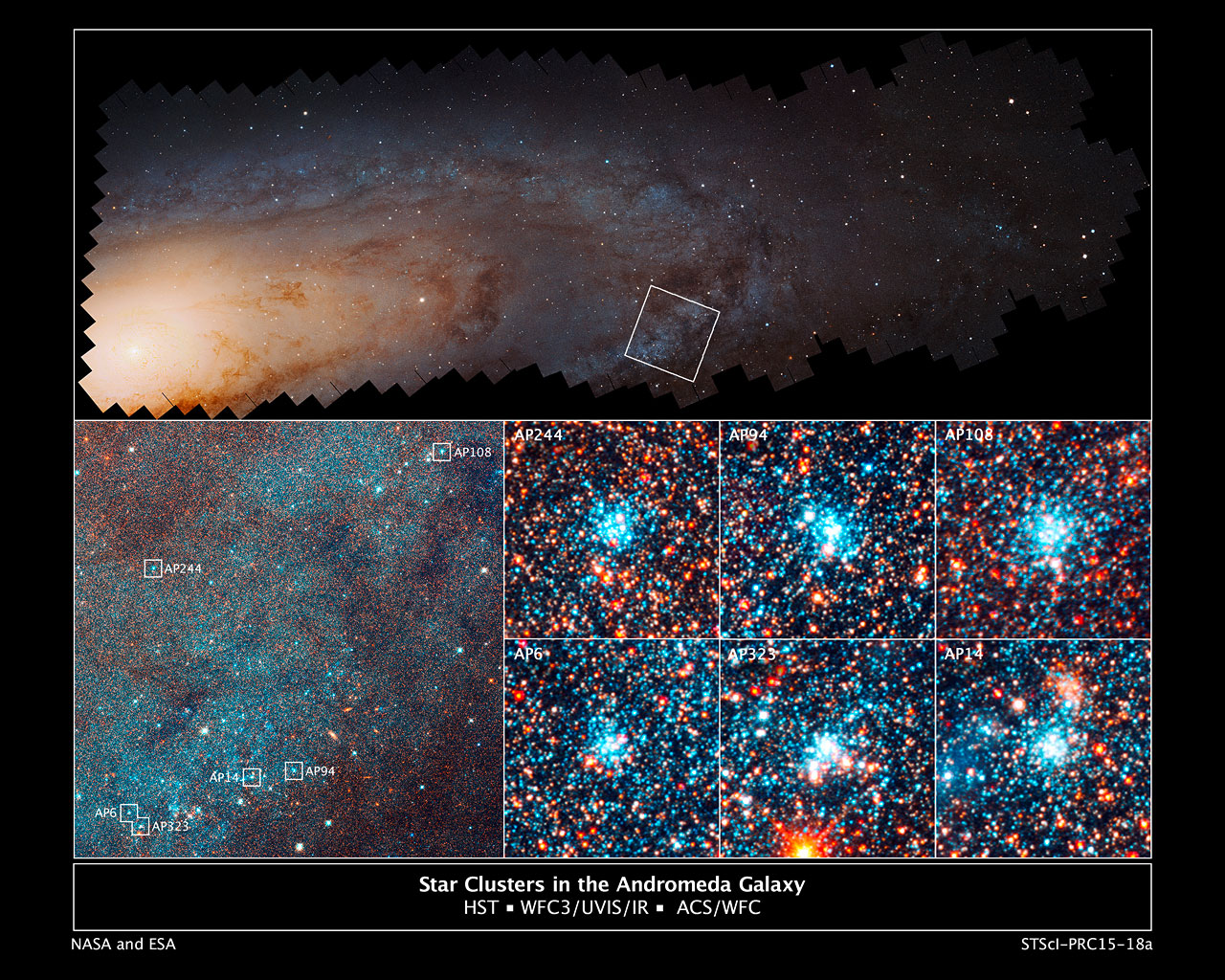 Andromeda Galaxy Star Clusters - HD Wallpaper 