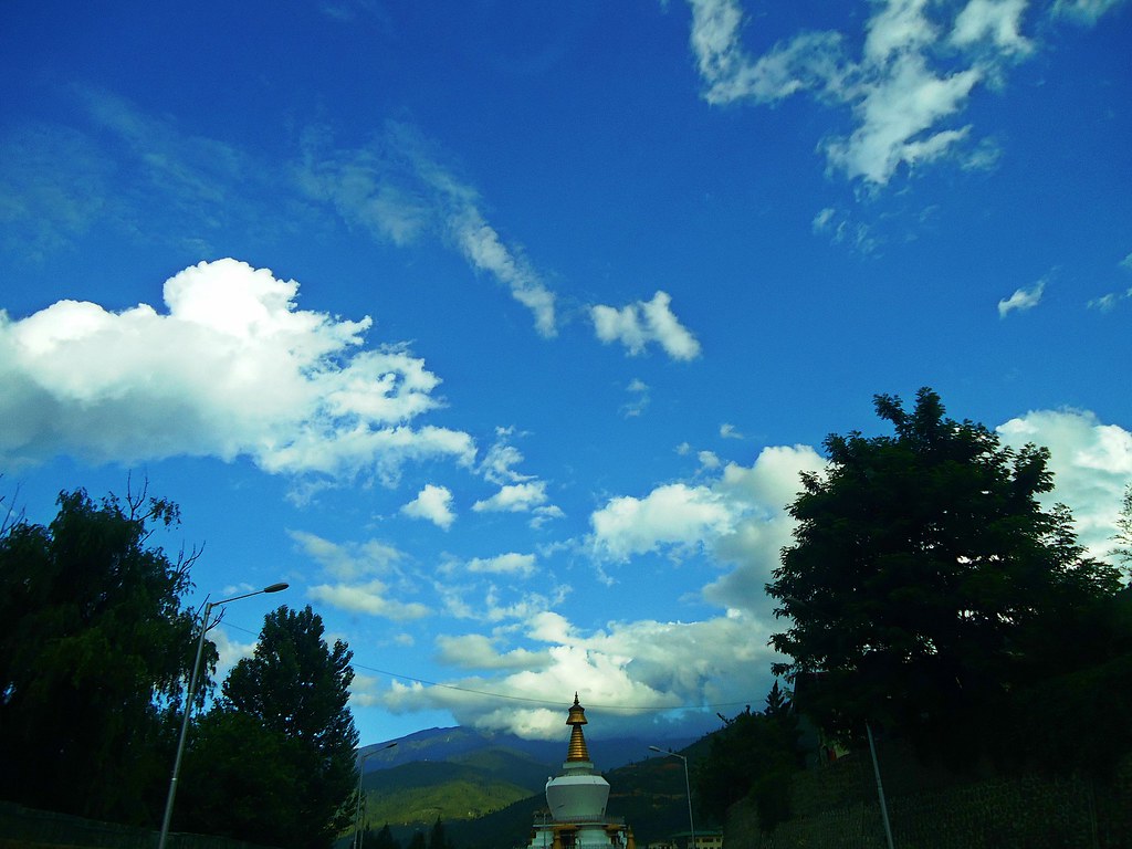 Spruce - HD Wallpaper 