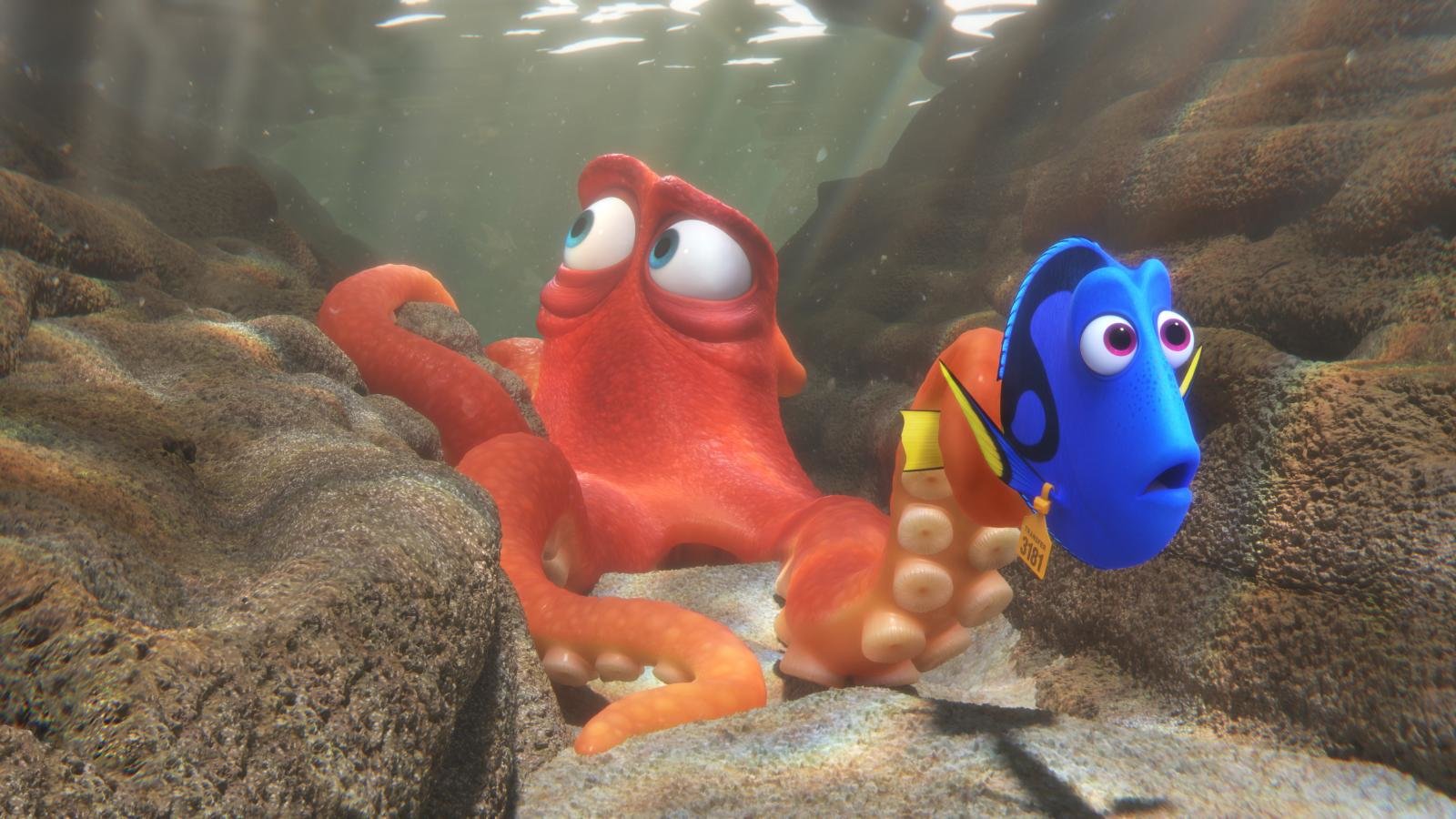 Free Download Finding Dory Wallpaper Id - Find Dory Environments - HD Wallpaper 