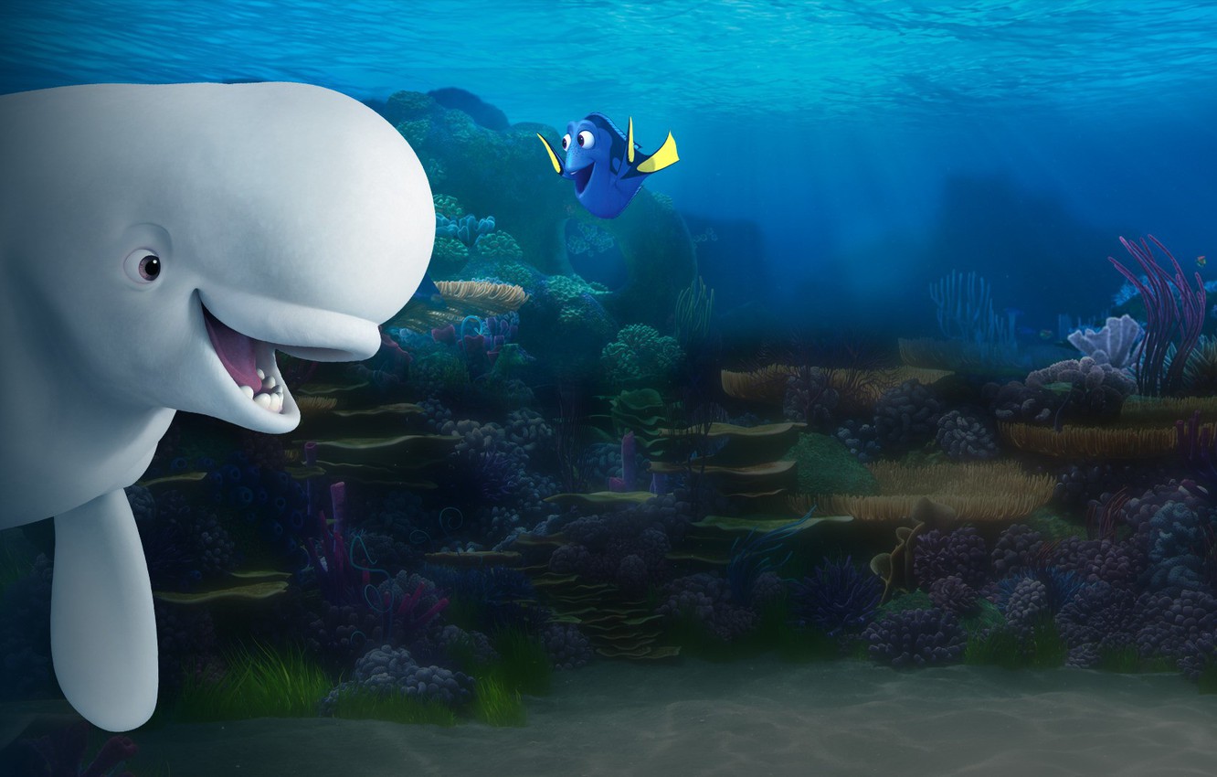 Photo Wallpaper Cinema, Movie, Animal, Friendship, - Finding Dory Beluga Whale - HD Wallpaper 