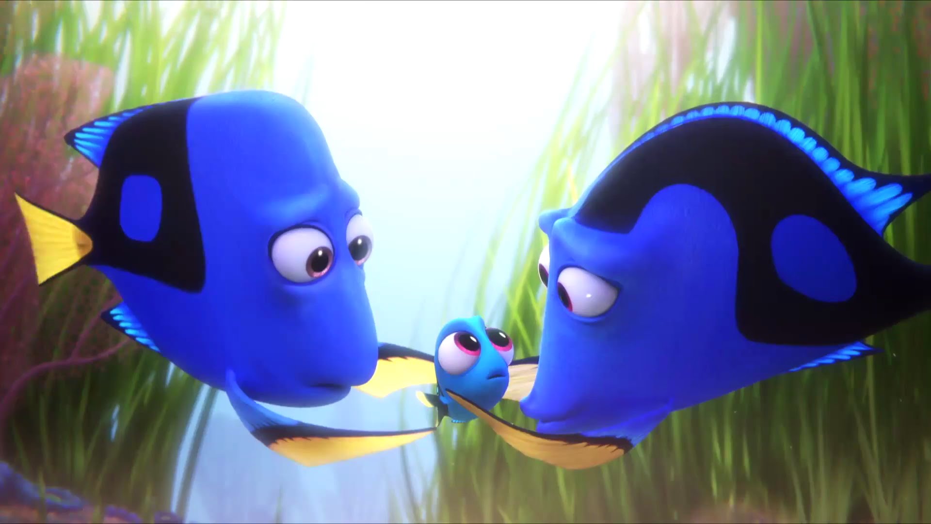 Baby Dory Wallpaper - Finding Dory Charlie And Jenny - HD Wallpaper 