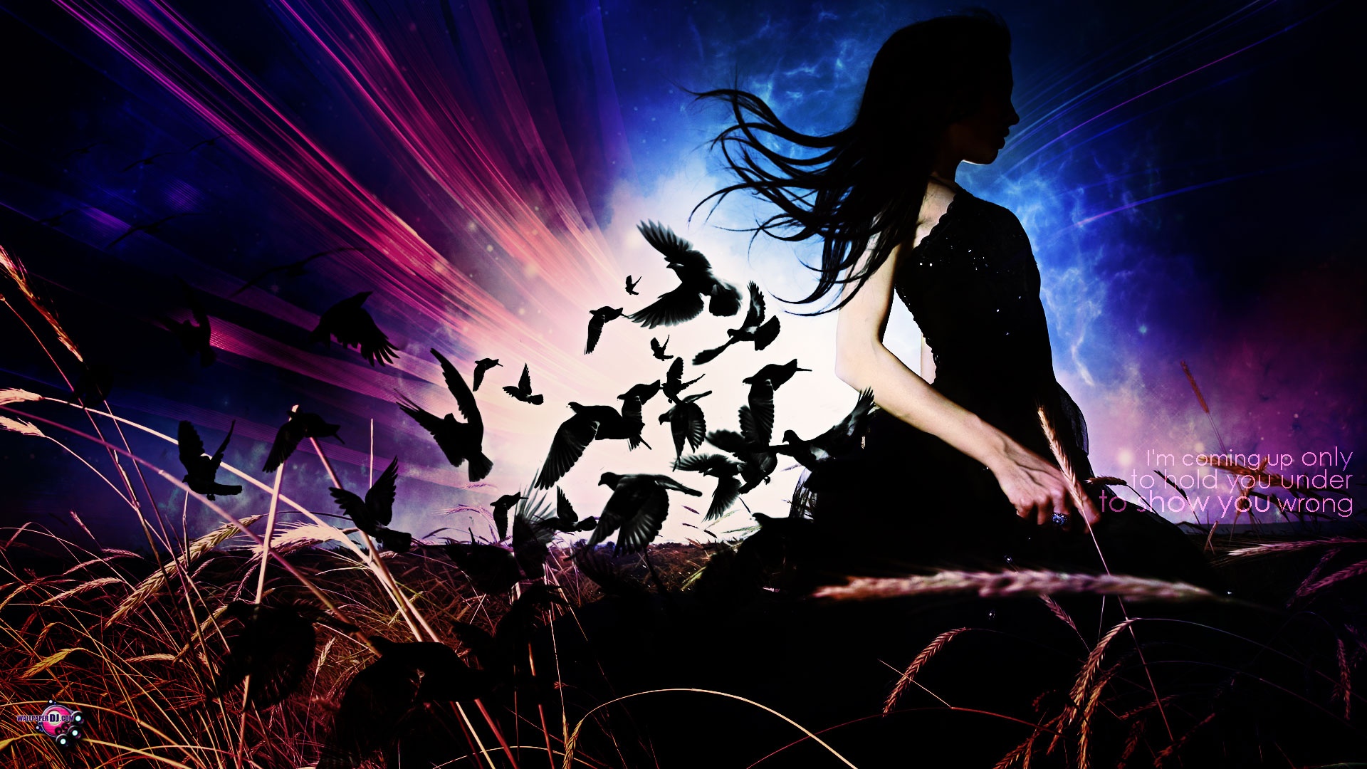 The Funeral Of The Sun Hd And Wide Wallpapers - Vocal Trance Collection Vol 49 - HD Wallpaper 