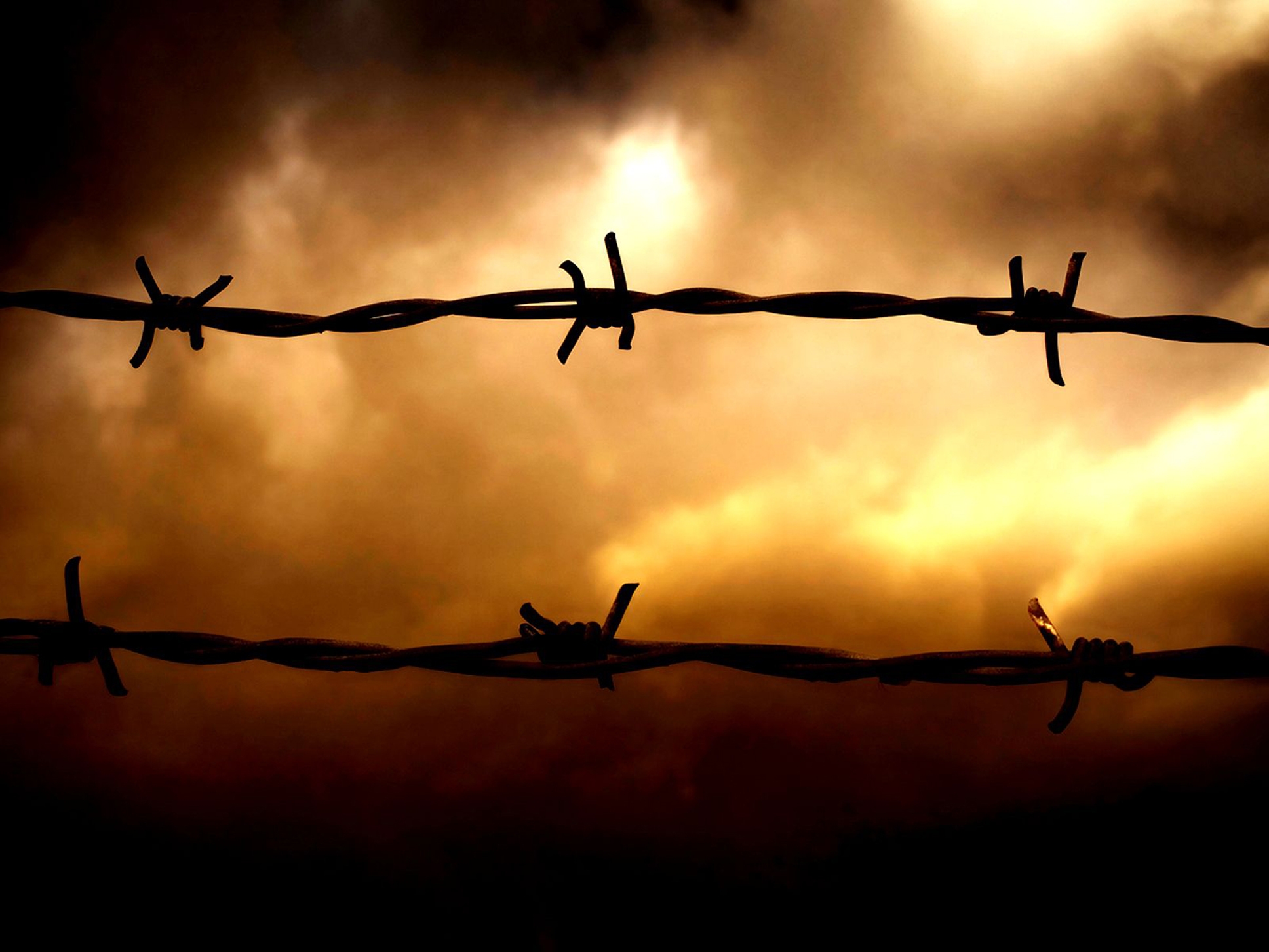 Barb Wire Best Wallpaper Free - Sunset Hd Wallpapers Barbed Wire Fence - HD Wallpaper 