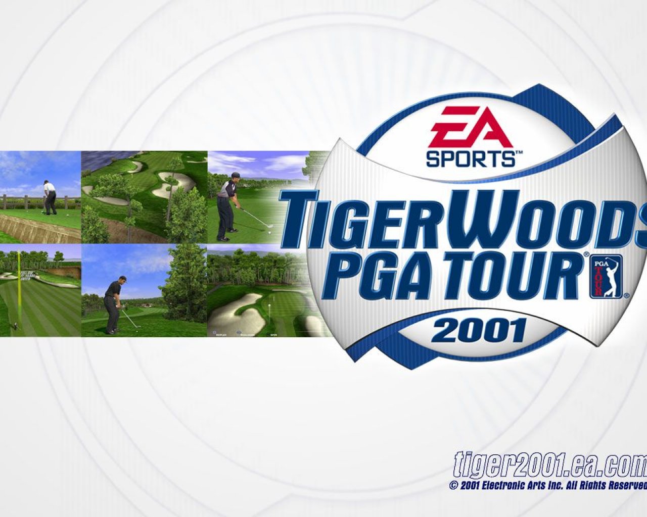Tiger Woods Wallpaper - Flyer - HD Wallpaper 
