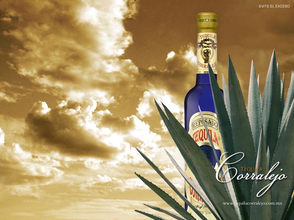 Fondos De Tequila - HD Wallpaper 