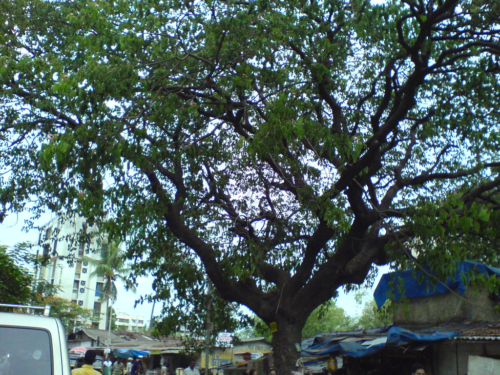 Family Car - HD Wallpaper 