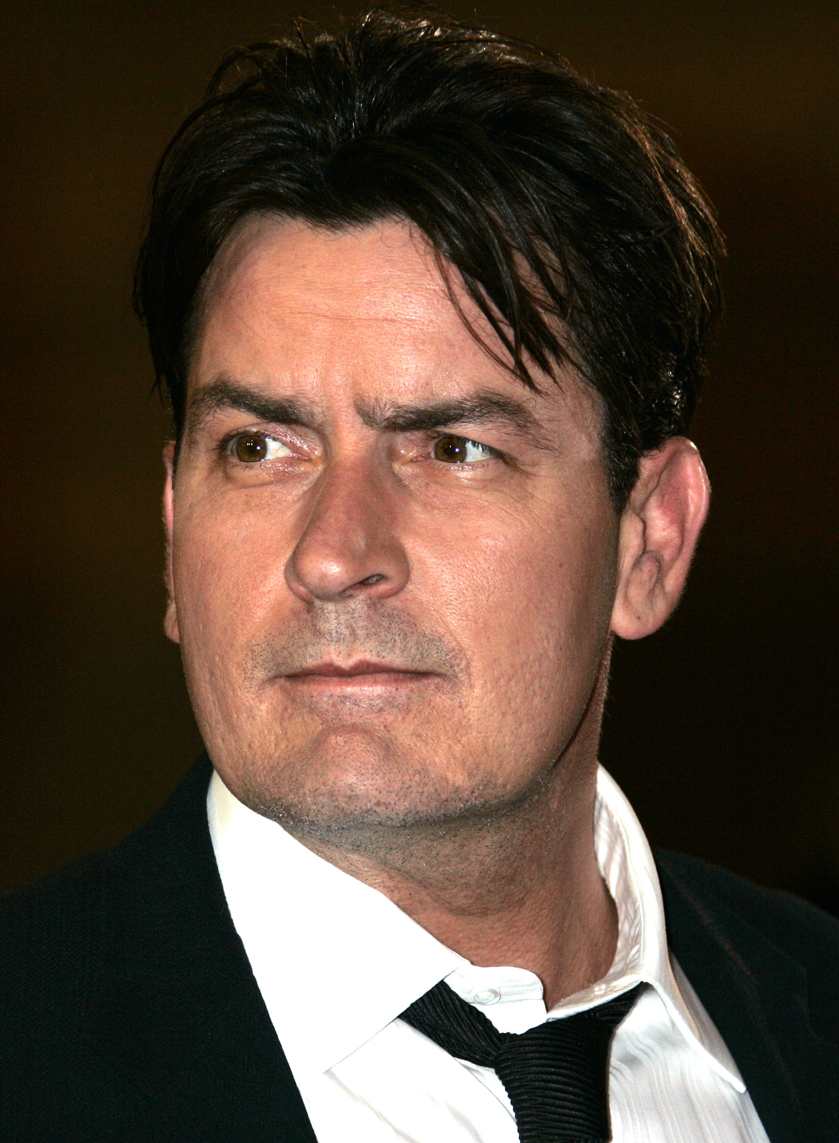 Charlie Sheen - Photo Actress - Funny Charlie Sheen Memes - HD Wallpaper 