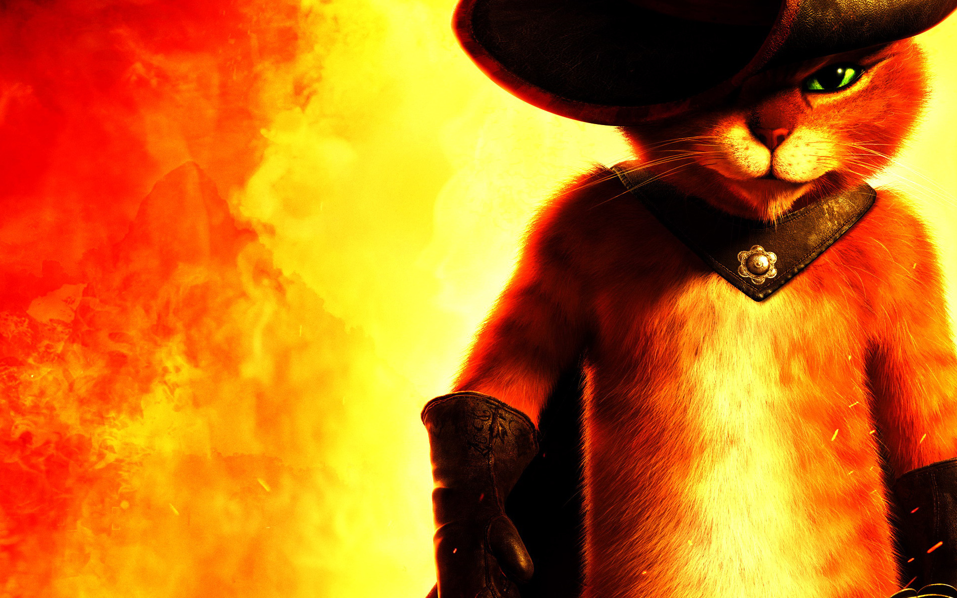 Cat In The Hat Wallpaper - HD Wallpaper 