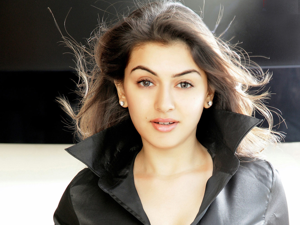 Hansika Motwani - HD Wallpaper 
