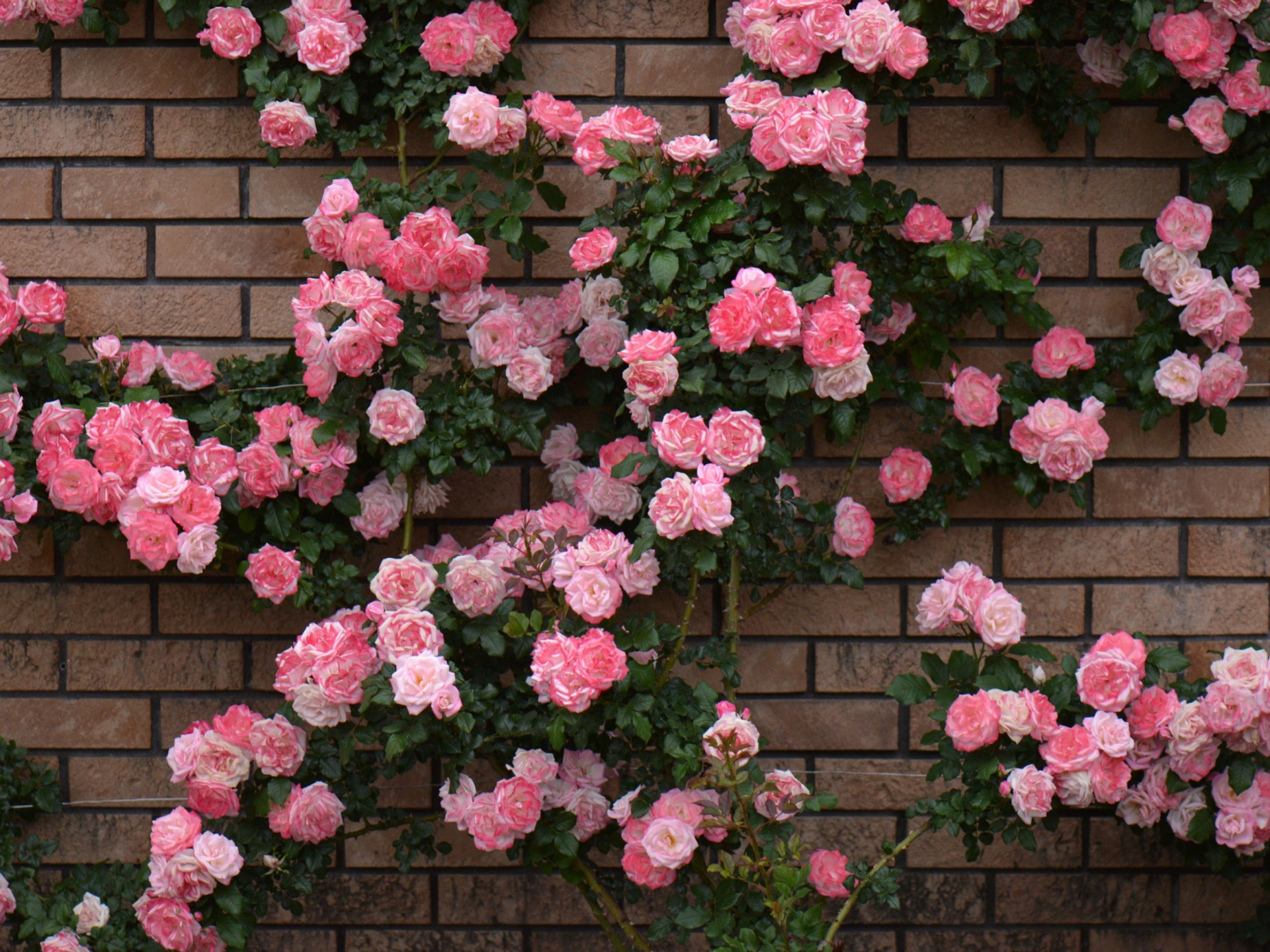 Brick Wall Twitter Header - HD Wallpaper 