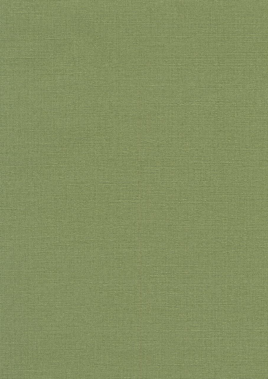 Grass - HD Wallpaper 