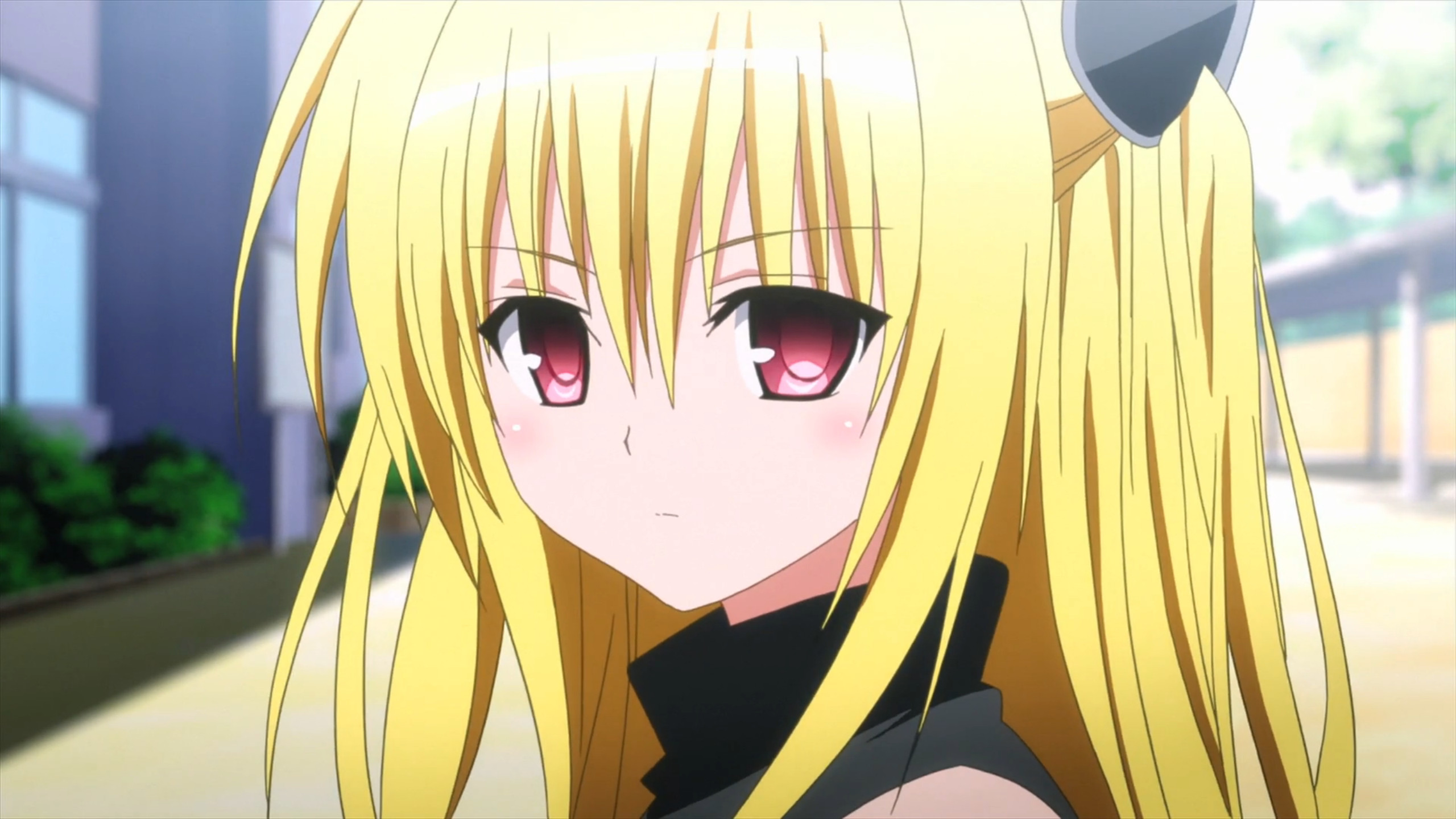 Golden Darkness/yami 
 Data Src New Yami Golden Darkness - Yami To Love Ru Darkness - HD Wallpaper 