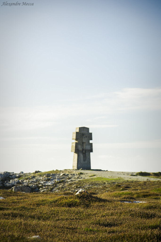 Grass - HD Wallpaper 