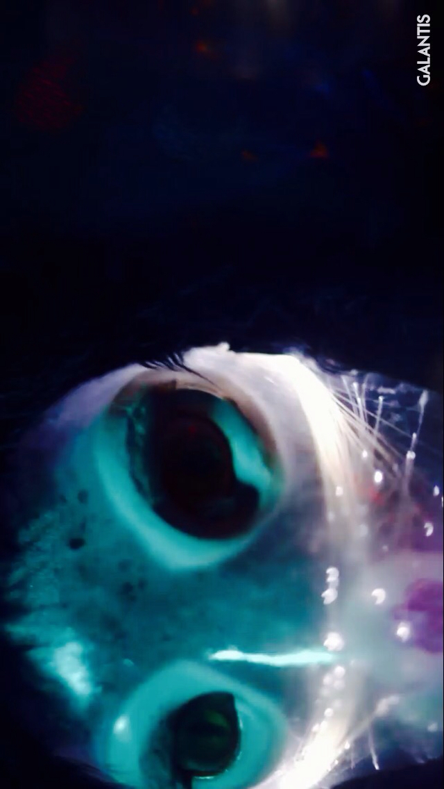 Beautiful, Dubstep, And Hyper Image - Art - HD Wallpaper 