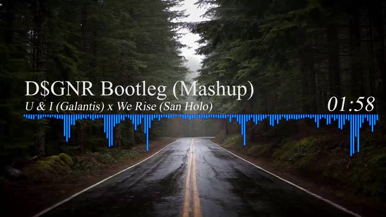 Pine Forest Road - HD Wallpaper 