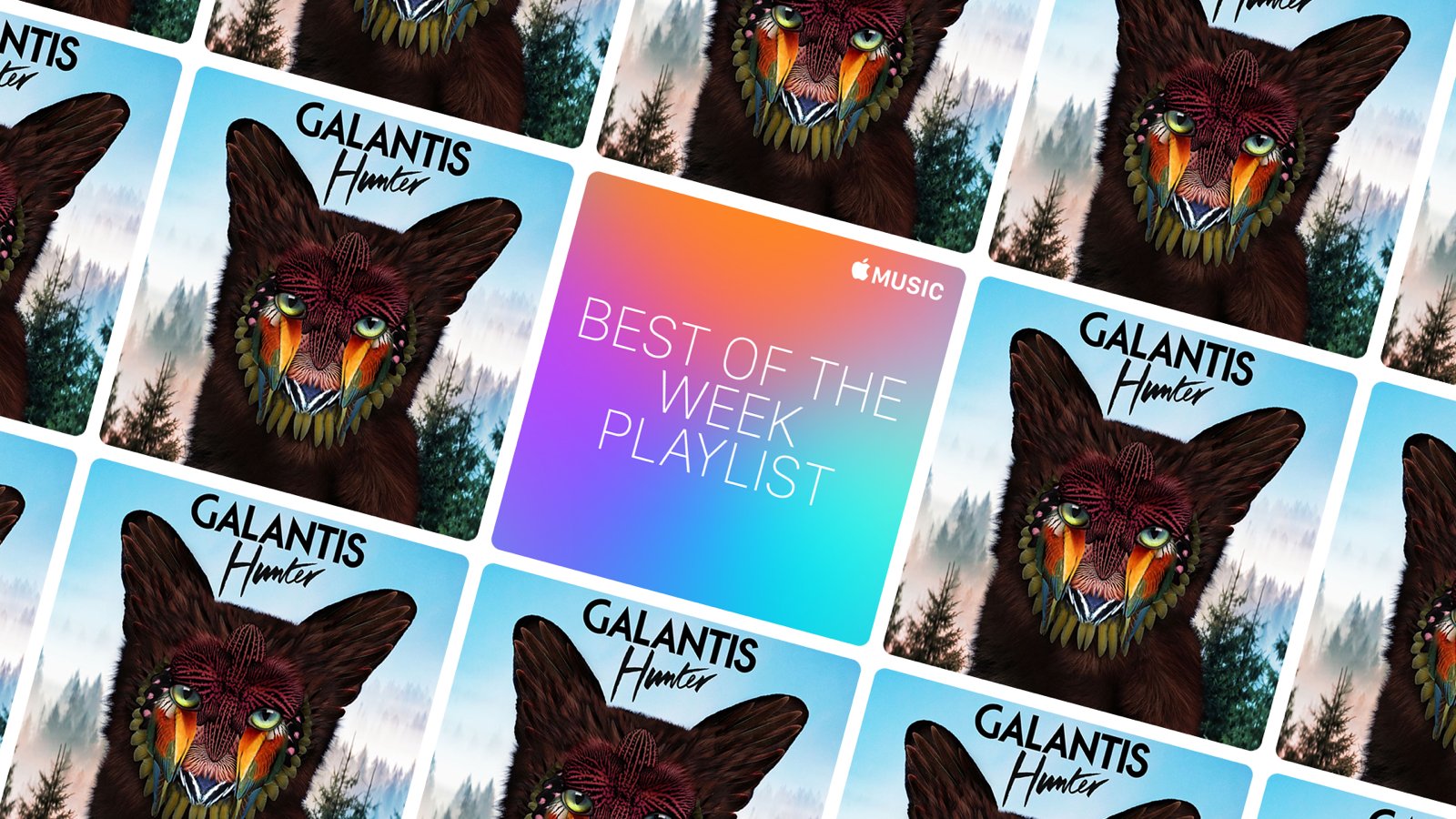 Butterfly - HD Wallpaper 