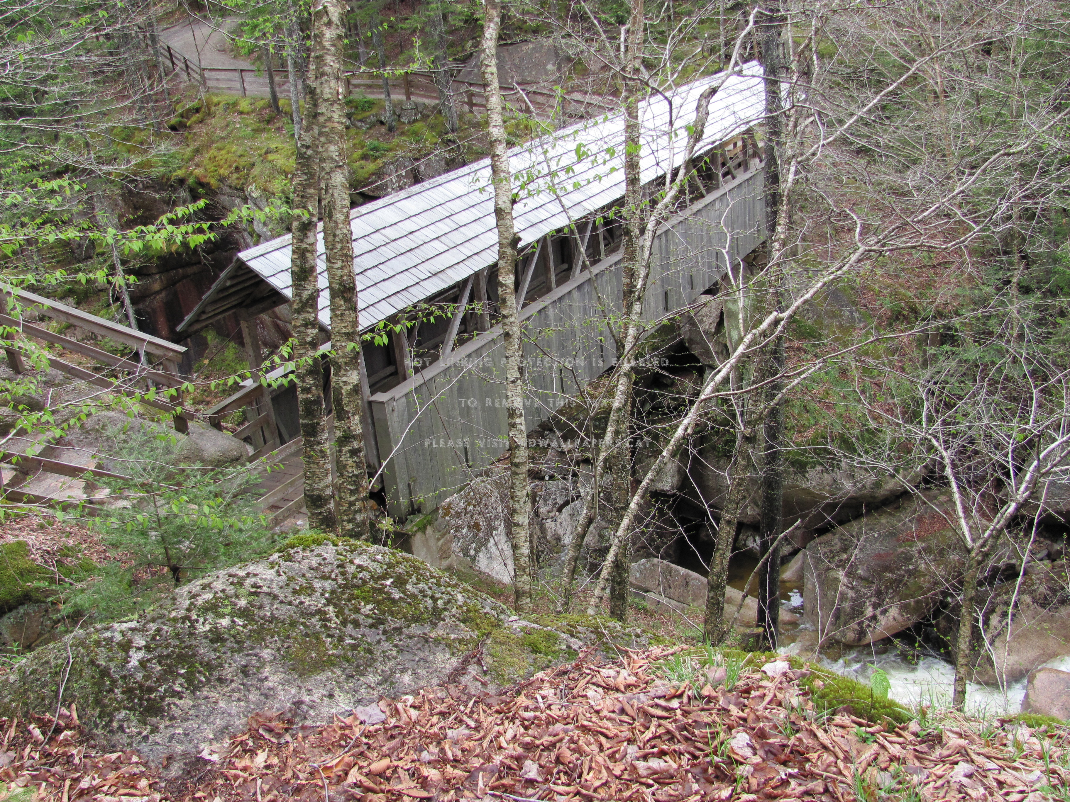 At The Flume - Tree - HD Wallpaper 