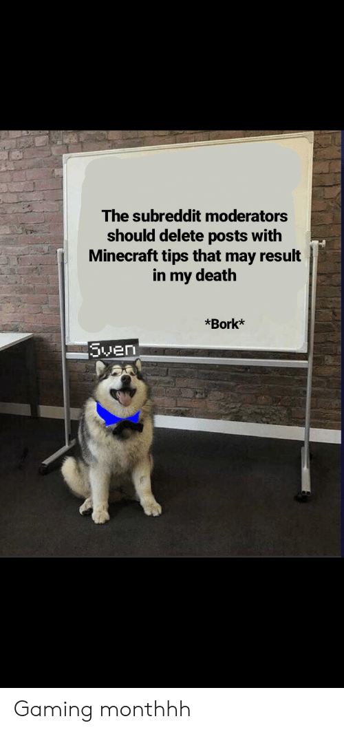 Water Sheep And Sven - HD Wallpaper 